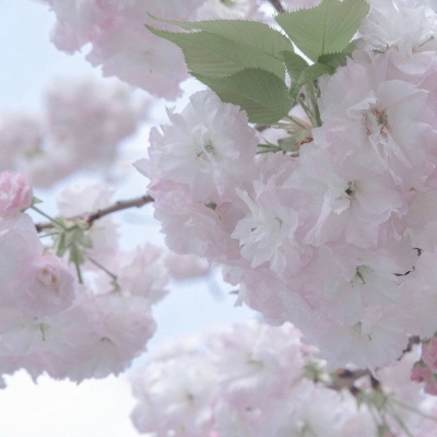 Furry绘画质感技巧Furry群